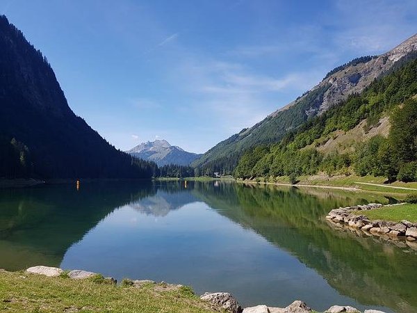 Quelles sont les démarches et les formalités à effectuer pour acheter un bien immobilier à Montriond ?